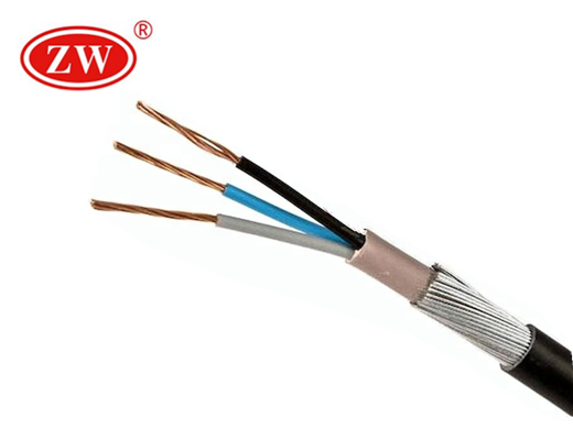 Armoured Cable 6mm